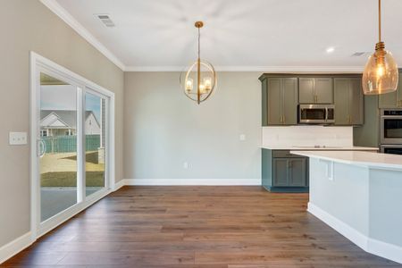 New construction Single-Family house 51 Hanover Pl, Richmond Hill, GA 31324 plan Hilton - image 10