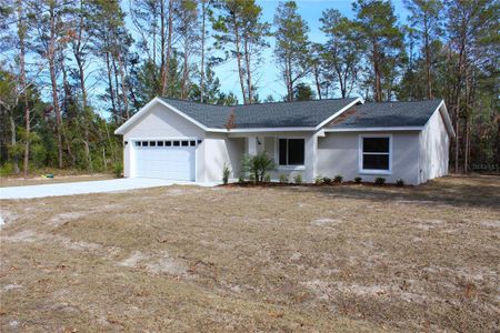 New construction Single-Family house 15 Fisher Way Pl, Ocklawaha, FL 32179 - image