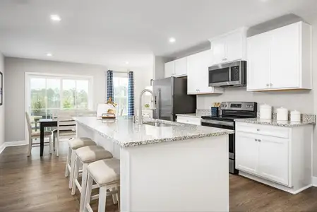 New construction Single-Family house 653 Holly Bluff St, Wendell, NC 27591 plan Aruba Bay - image