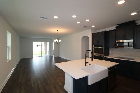 New construction Single-Family house 33227 Amling Pecan Br, Wesley Chapel, FL 33545 Newport II- photo 62 62