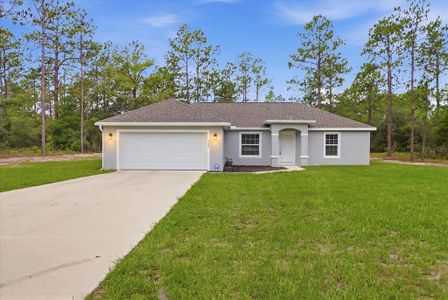 New construction Single-Family house 3266 Sw Admiral Landing Dr, Dunnellon, FL 34431 - image