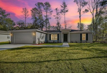 New construction Single-Family house 9927 N Athenia Dr, Citrus Springs, FL 34434 - image