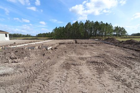 New construction Single-Family house 1878 Drummond Point, Zephyrhills, FL 33541 Corina II Bonus- photo 0