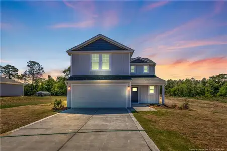 New construction Single-Family house 285 Buggy Top Ln, Autryville, NC 28318 - image