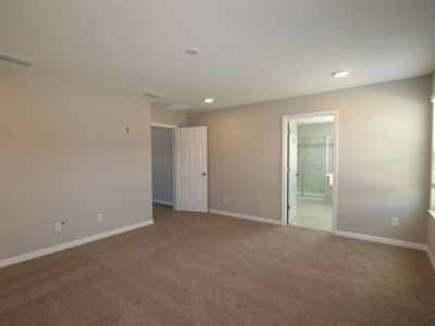 New construction Single-Family house 3189 Fall Harvest Dr, Zephyrhills, FL 33540 plan Castellana - image 6