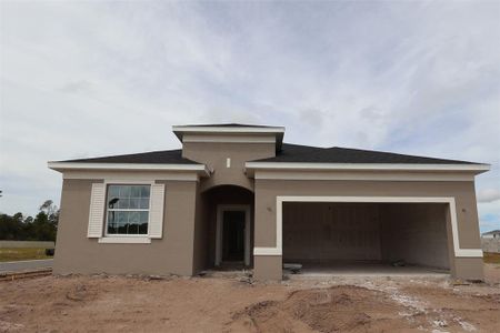 New construction Single-Family house 6868 Yellow Warbler Bnd, St. Cloud, FL 34773 plan Piedmont - image