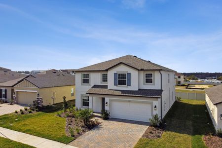 New construction Single-Family house 12219 Hilltop Farms Dr, Dade City, FL 33525 Malibu- photo 247 247