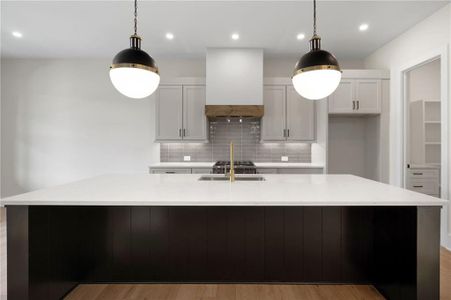 New construction Single-Family house 157 Palisade Dr Ne, Rydal, GA 30171 - image 15