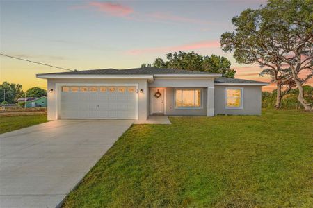 New construction Single-Family house 16588 Sw 25Th Terrace Rd, Ocala, FL 34473 null- photo 2 2