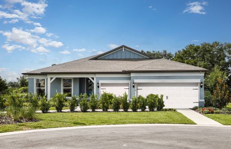 New construction Single-Family house 8081 Sw 44Th Court Rd, Ocala, FL 34476 plan Bloomfield - image