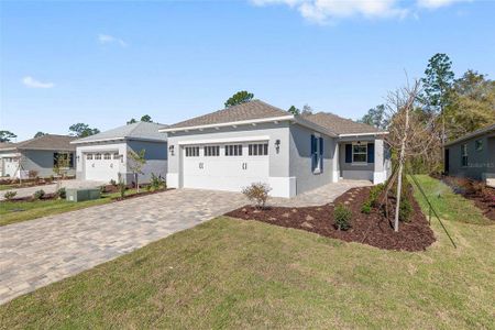 New construction Single-Family house 9656 Sw 108Th Terrace Rd, Ocala, FL 34481 - image