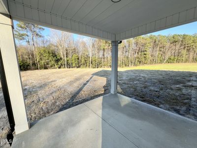 New construction Single-Family house 118 Sagewood Dr, Dudley, NC 28333 - image