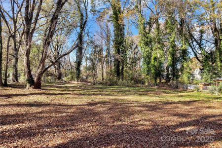 New construction Single-Family house 1029 N Ransom St, Gastonia, NC 28052 null- photo 4 4