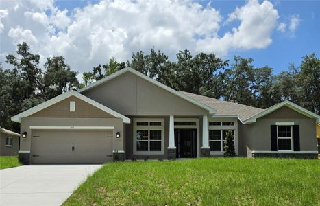 New construction Single-Family house 4315 Elwood Rd, Spring Hill, FL 34609 plan 2169 - image