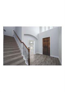 Foyer with dark hardwood / wood-style flooring, plenty of natural light, and a high ceiling