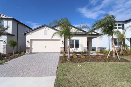 New construction Single-Family house 4763 Beachrose Way, Lakeland, FL 33811 Picasso- photo 4 4