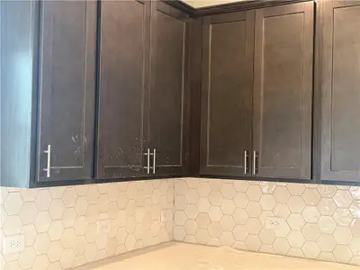 New construction Single-Family house 16 Madison Ln, Adairsville, GA 30103 - image 5