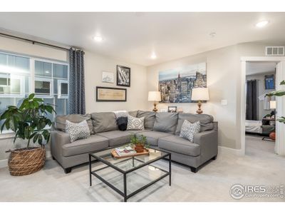 New construction Single-Family house 2020 Blue Moon Dr, Windsor, CO 80550 - image 5