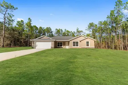 New construction Single-Family house 13369 Sw 69Th Pl, Ocala, FL 34481 - image