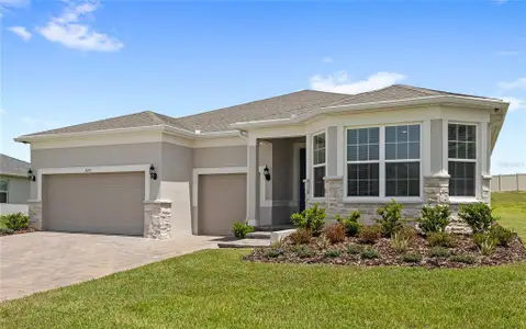 New construction Single-Family house 5173 Foothills Preserve Lp, Mount Dora, FL 32757 - image