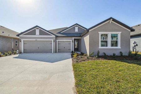 New construction Single-Family house 8830 Mugnai Street, Riverview, FL 33578 - photo 0