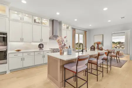 New construction Single-Family house 110 Agua Dulce, Bastrop, TX 78602 plan Savannah - image 9