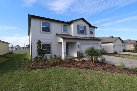 New construction Single-Family house 12219 Hilltop Farms Dr, Dade City, FL 33525 Malibu- photo 142 142