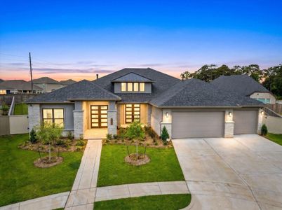 New construction Single-Family house 410 Arctic Warbler Ct, Magnolia, TX 77354 - image