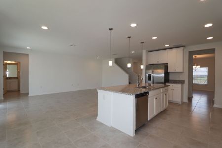 New construction Single-Family house 38350 Tobiano Loop, Dade City, FL 33525 Cabo- photo 166 166