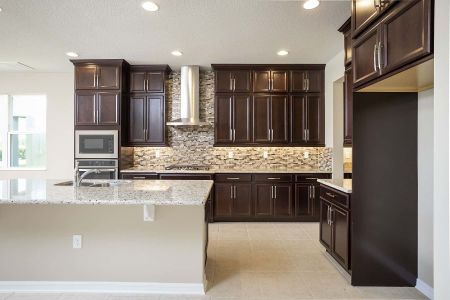 Emerson Pointe by M/I Homes in Apopka - photo 36 36