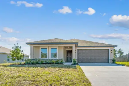 New construction Single-Family house 12474 Seybold Dr, Spring Hill, FL 34608 - image