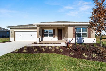 New construction Single-Family house 9972 Sw 106Th Cir, Ocala, FL 34481 plan Ariana - image
