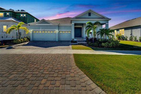 New construction Single-Family house 1074 Signet Dr, Apollo Beach, FL 33572 - photo 0