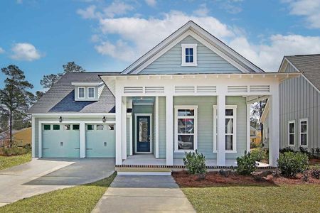 New construction Single-Family house 1021 Harriman Lane, Charleston, SC 29492 - photo 0