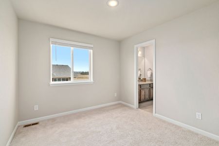 New construction Single-Family house 10417 W 12Th Street, Greeley, CO 80634 - photo 19 19