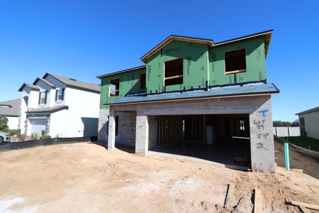 New construction Single-Family house 12294 Hilltop Farms Dr, Dade City, FL 33525 Malibu- photo 19 19