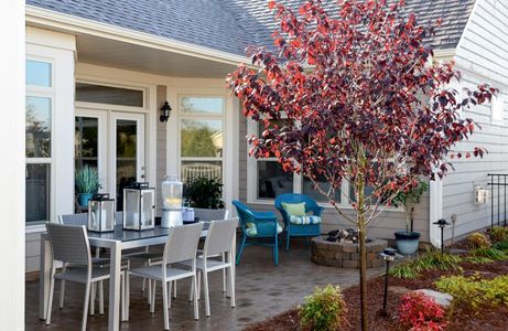 New construction Single-Family house 1322 Hidden Oaks Dr, Tomball, TX 77375 plan Palazzo - image 4