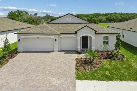 New construction Single-Family house 8419 Fox Den Cv, Lakeland, FL 33810 plan Liberty - image