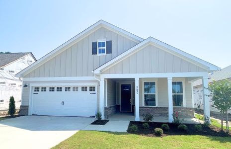 New construction Single-Family house 2695 Silverweed Ct, Leland, NC 28479 plan Mystique - image