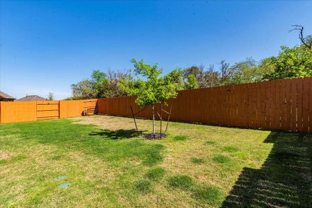 New construction Single-Family house 286 Muddy Creek Way, Kyle, TX 78640 McKinney- photo 31 31