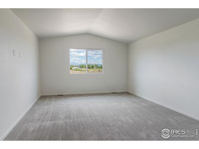 New construction Single-Family house 5409 Drehle St, Timnath, CO 80547 plan Rowling - image 19