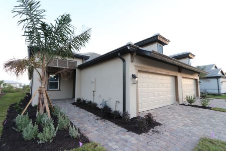 New construction Single-Family house 18036 Cherished Loop, Lakewood Ranch, FL 34211 Topaz - Villas- photo 12 12