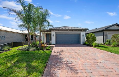 New construction Single-Family house 6380 Honor Wy, Ave Maria, FL 34142 plan Hallmark - image