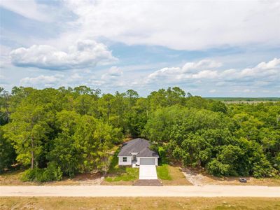 New construction Single-Family house 2132 Pine Meadows Golf Course Rd, Eustis, FL 32726 - image