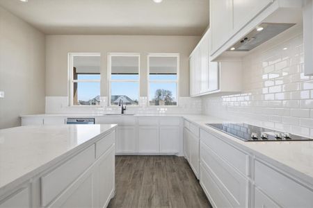 New construction Single-Family house 105 Cattleman Dr, Springtown, TX 76082 - image 10