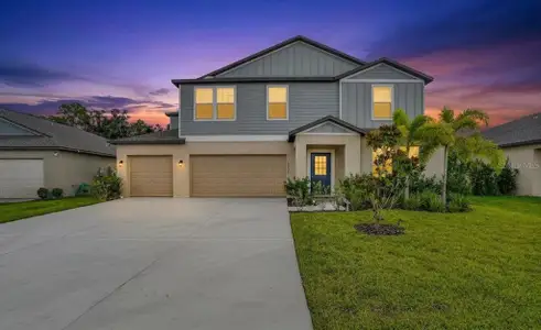 New construction Single-Family house 12036 Blue Diamond Cv, Parrish, FL 34219 - image
