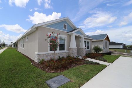 New construction Single-Family house 28866 Hillcrest Valley Blvd, Wesley Chapel, FL 33543 null- photo 1 1