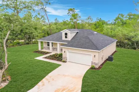 New construction Single-Family house 31825 Nutmeg Ave, Eustis, FL 32736 - image