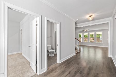 New construction Single-Family house 9168 Dupree Meadow Dr, Unit 15, Angier, NC 27501 - image 18