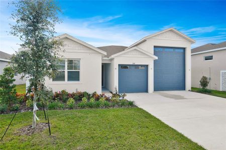 New construction Single-Family house 1260 Daisy Hill Wy, Dundee, FL 33838 - image